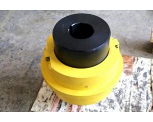 蛇簧聯軸器 礦用聯軸器 蛇形彈簧聯軸器發貨通知