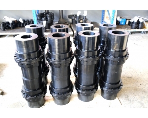 鼓形齒聯軸器，齒式聯軸器，WGT 齒式聯軸器 發貨